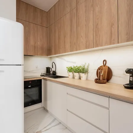 公寓 Malila Premium Cracow Rakowicka 20l- 453